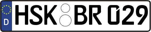 HSK-BR029