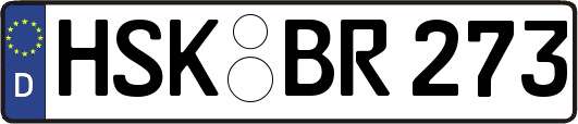 HSK-BR273