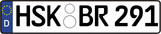 HSK-BR291