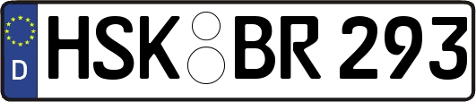 HSK-BR293