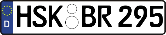 HSK-BR295