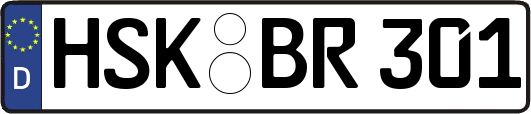 HSK-BR301