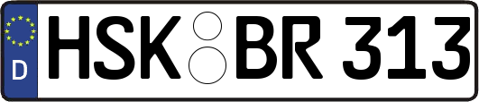 HSK-BR313