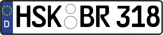 HSK-BR318