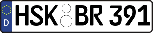 HSK-BR391