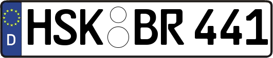 HSK-BR441