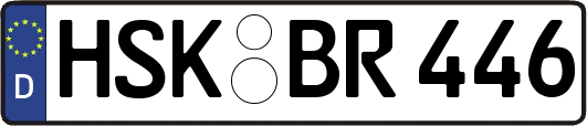 HSK-BR446