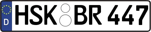 HSK-BR447