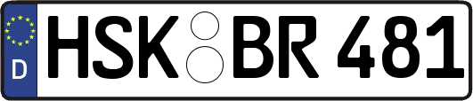 HSK-BR481