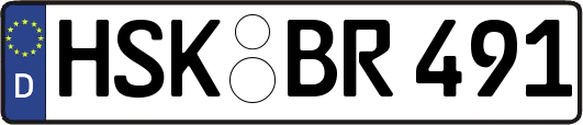 HSK-BR491