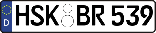 HSK-BR539