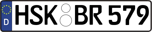 HSK-BR579
