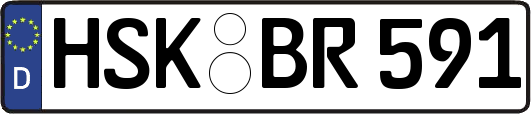 HSK-BR591