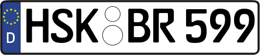 HSK-BR599
