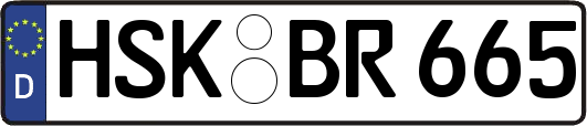 HSK-BR665