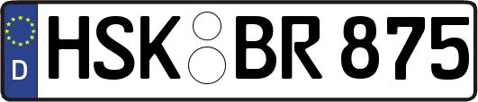 HSK-BR875