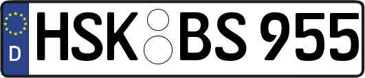 HSK-BS955
