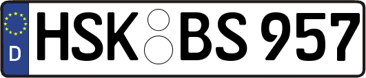 HSK-BS957