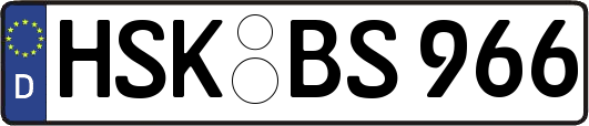 HSK-BS966
