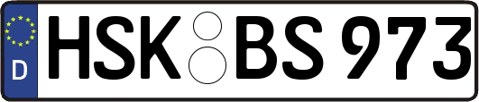 HSK-BS973
