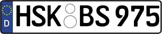 HSK-BS975