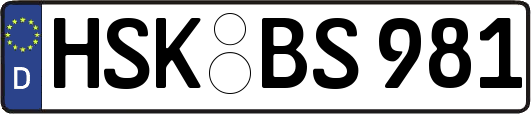 HSK-BS981