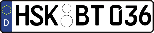 HSK-BT036