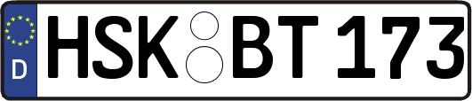 HSK-BT173
