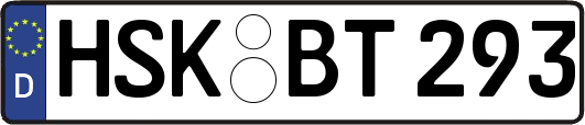 HSK-BT293