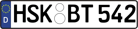 HSK-BT542