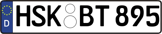 HSK-BT895