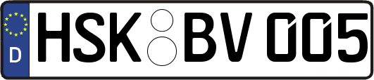 HSK-BV005