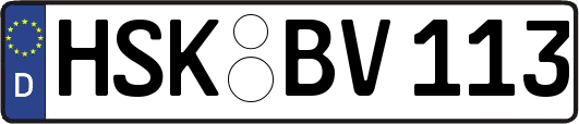 HSK-BV113