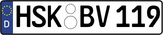 HSK-BV119