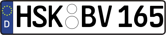 HSK-BV165