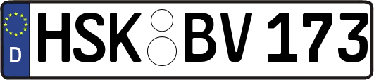 HSK-BV173