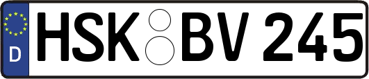 HSK-BV245