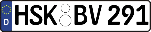 HSK-BV291