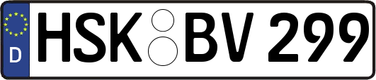 HSK-BV299