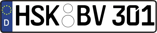 HSK-BV301