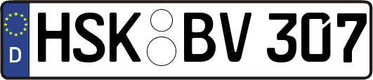 HSK-BV307