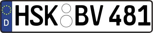 HSK-BV481