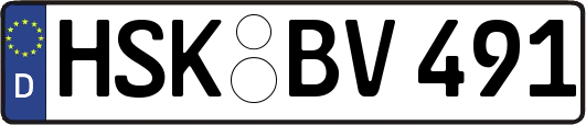 HSK-BV491
