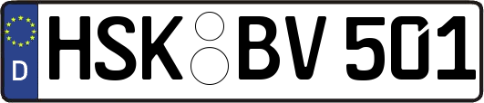 HSK-BV501