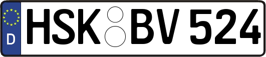 HSK-BV524