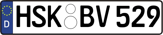 HSK-BV529