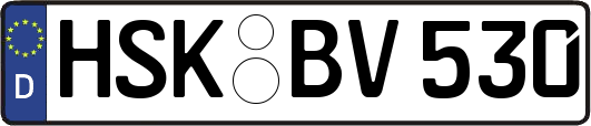 HSK-BV530