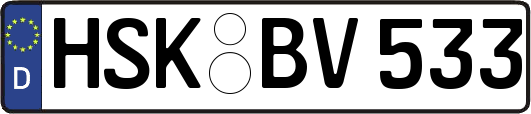 HSK-BV533