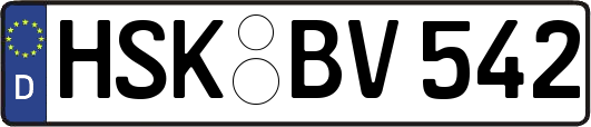 HSK-BV542