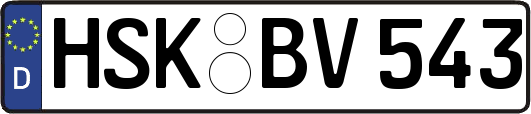 HSK-BV543